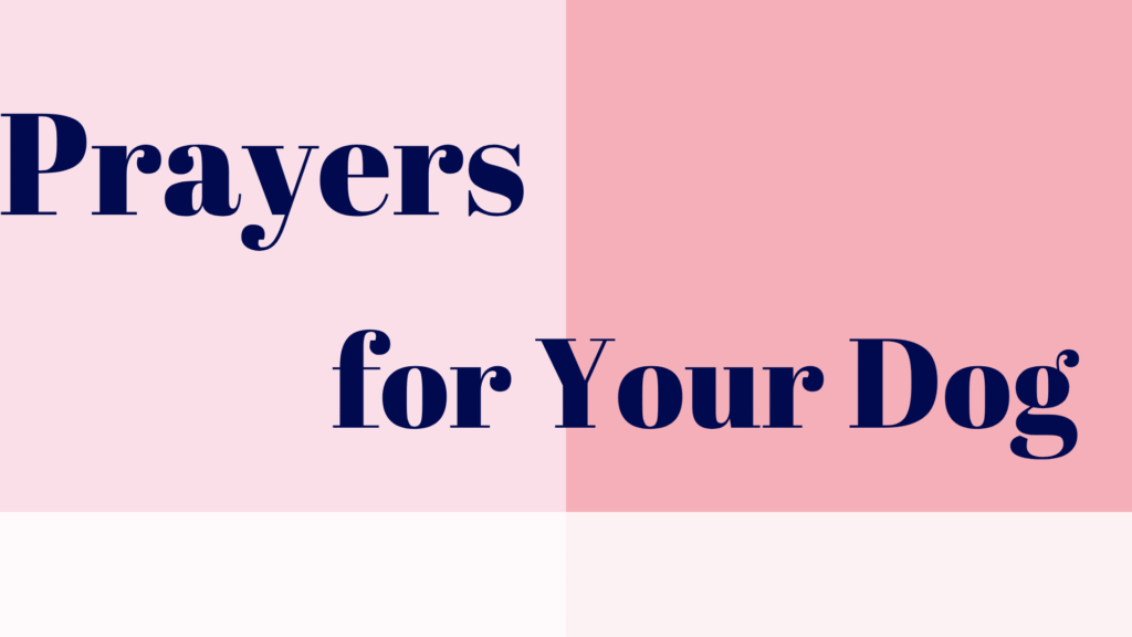 dog prayer