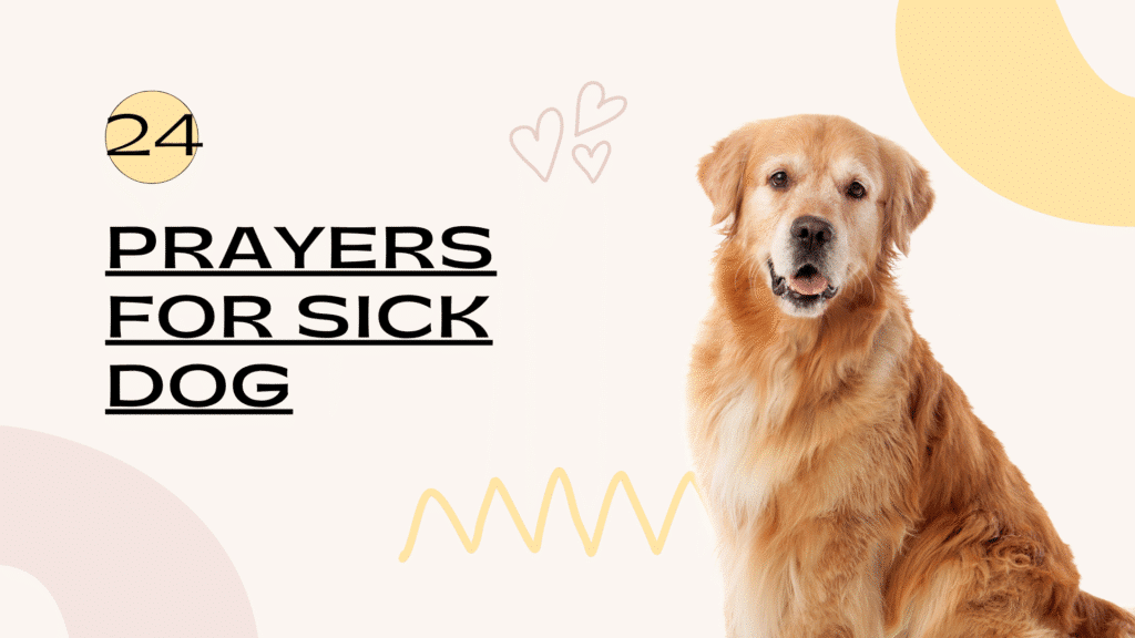 dog prayer