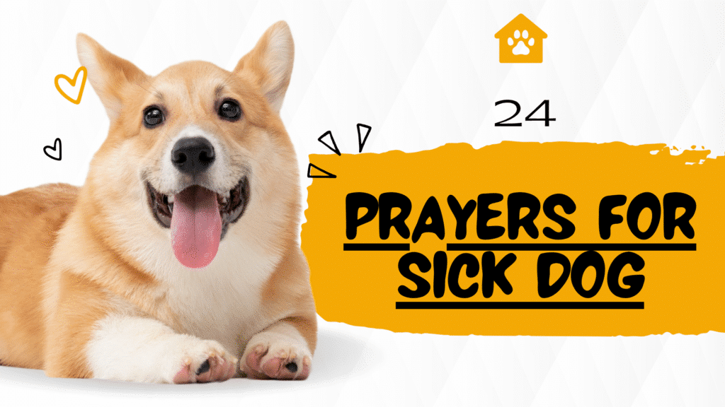 dog prayer