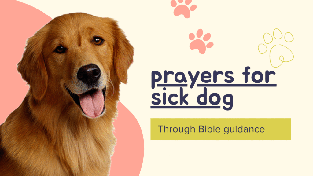 dog prayer