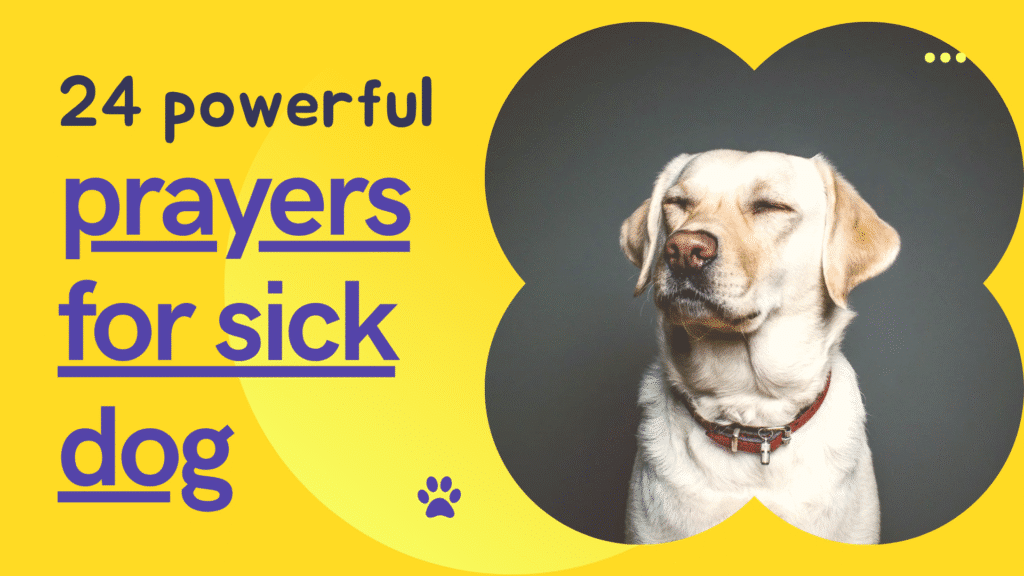 dog prayer